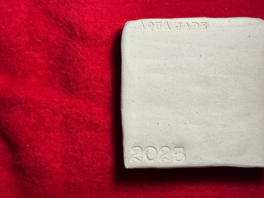 dont talk just dance!